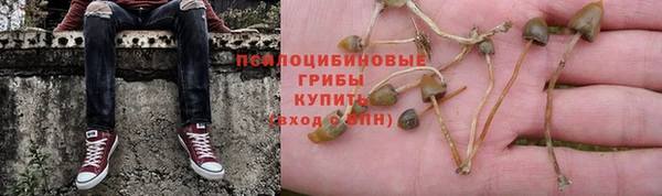мескалин Армянск