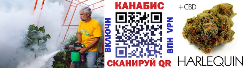 Купить где  Красноперекопск  МАРИХУАНА OG Kush 